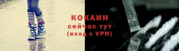 прущие грибы Бородино