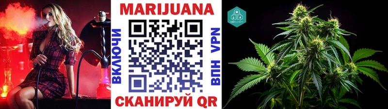 kraken   закладки  Гай  Каннабис White Widow 